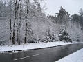 2008-04-07 09.54.56